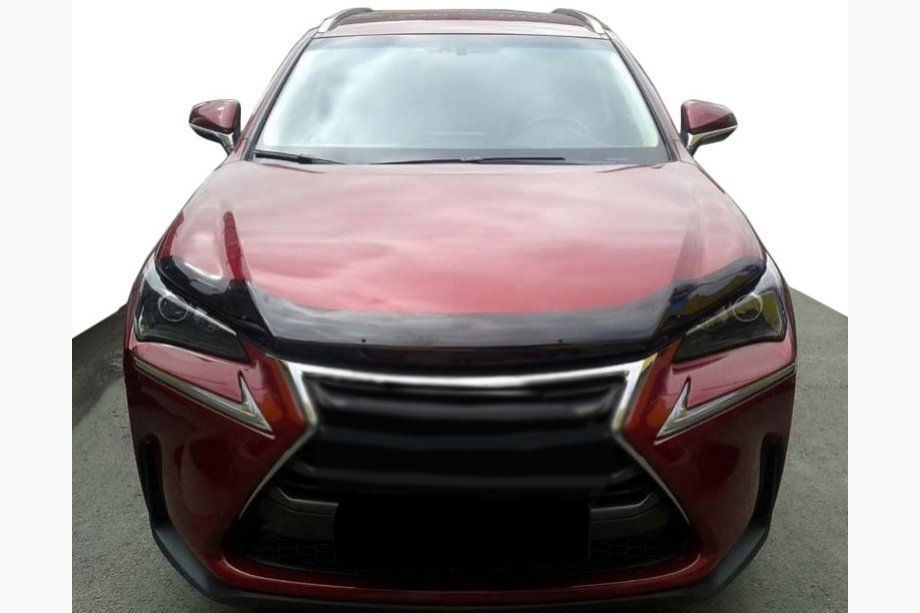 Lexus NX 2014-2021 Deflektor maski 2014+ (SIM) Image