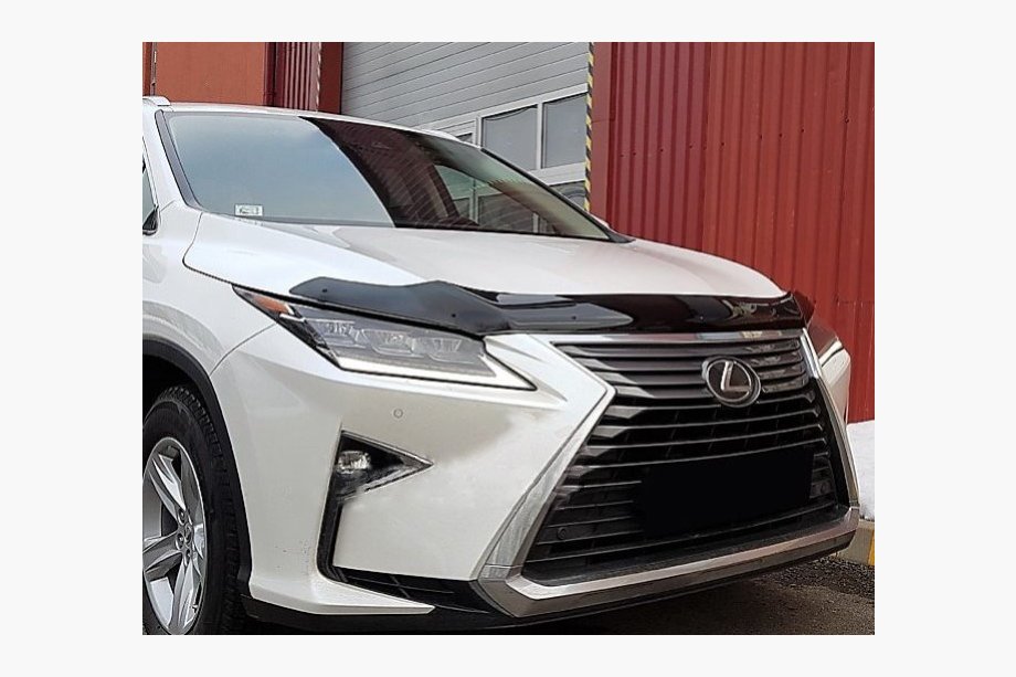 Lexus RX 2016-2022 Deflektor maski (SIM) Image