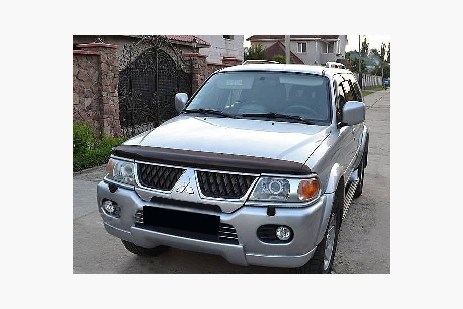 Mitsubishi Pajero Sport 1996-2007 Deflektor maski (SIM) Image