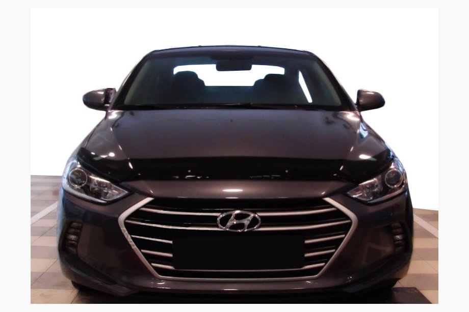 Hyundai Elantra (AD) 2015-2020 Deflektor maski (SIM) Image