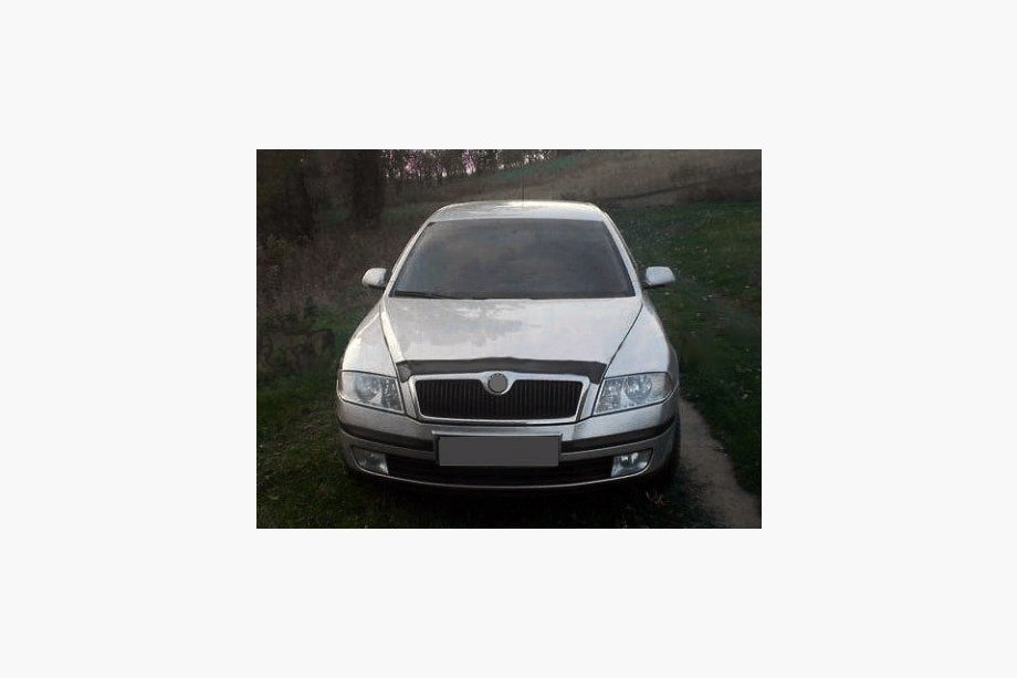 Skoda Octavia II A5 2006-2010 Deflektor maski (VIP) Image