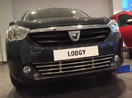 Dacia Lodgy 2012-2022 Kratka zderzaka (stal nierdzewna) zdjęcia 7