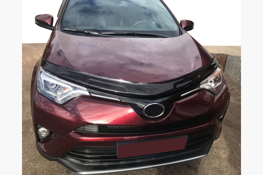 Toyota Rav 4 2013-2018 Deflektor maski (EGR) Image