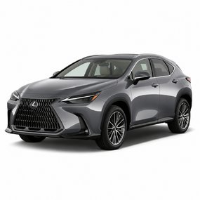 Tuning Lexus NX 2022-