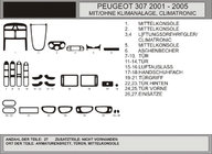 Peugeot 307 2001-2008 Tuning wnętrza (Hartman) Aluminium zdjęcia 1