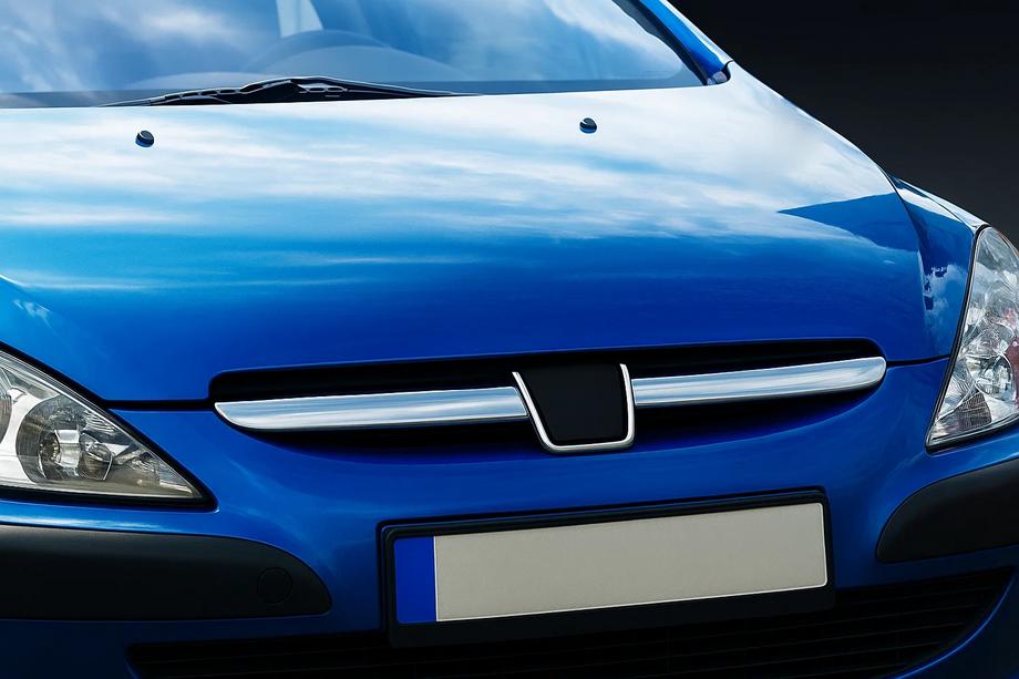 Peugeot 307 2001-2008 Nakładki na grill chromowane (2001-2005, 2 szt, stal nierdzewna) Image