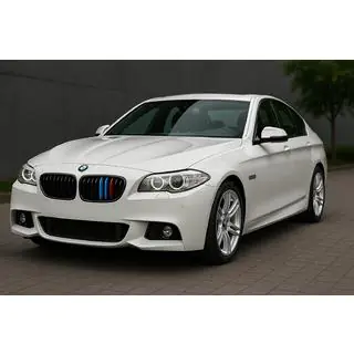 Wkłady do grilla 2010-2013 (3 szt) BMW 5 Series F10/F11 2010–2016 zdjęcia 1