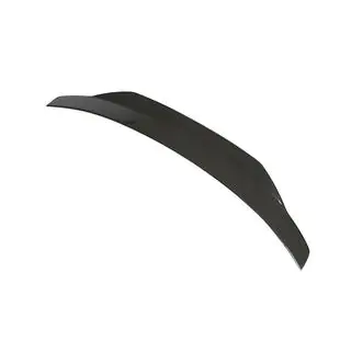 Spoiler V4 (do F22, Carbon) zdjęcia 3
