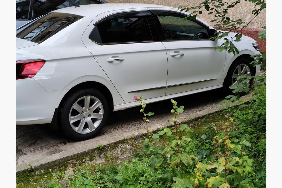 Citroen C-Elysee 2013-2022 Listwy ozdobne okien nierdzewne 4 szt, Carmos (bez lufcika) Image
