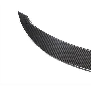 Spojler (Carbon) zdjęcia 3
