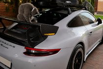 Porsche 911 (991) 2011–2019 Spojler V4 (Carbon) zdjęcia 2