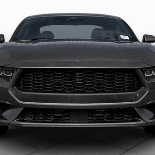 Atrapa chłodnicy (do S650, Carbon) zdjęcia 2