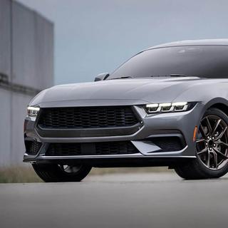 Atrapa chłodnicy (do S650, Carbon) zdjęcia 3