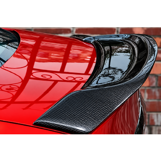 Spoiler (SD, Carbon) zdjęcia 1
