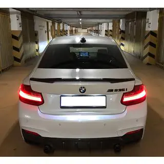 Spoiler M4-Style (do F22, z podkładem do lakierowania) zdjęcia 1