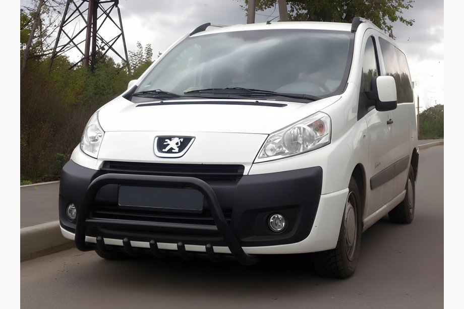 Peugeot Expert 2007-2016 Przedni Pałąk WT003 Czarny Stal Nierdzewna Image