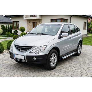 Progi boczne Allmond Grey (2 szt., aluminium)