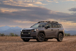Test Toyota RAV4 Woodland: przygodowy crossover hybrydowy zdjęcia 1