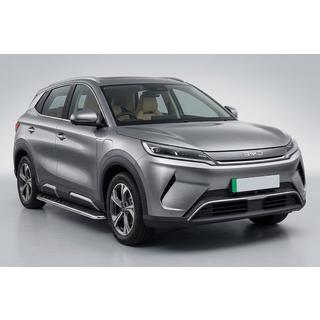 Progi Boczne Maydos V1 (2 szt., Aluminium i Stal Nierdzewna) zdjęcia 1