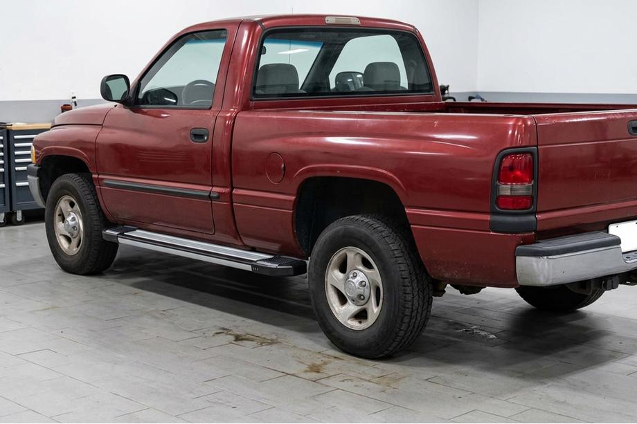 Dodge RAM (BR/BE) 1994–2002 Rainbow Stopnie boczne (2 szt., aluminium) Image