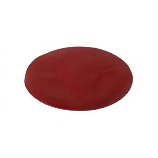 Emblemat tylny bez szkła V5 (17 cm x 12,5 cm) zdjęcia 2