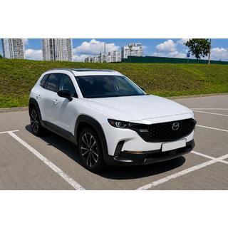 Relingi dachowe OEM szare (aluminium, montaż na klej) zdjęcia 2