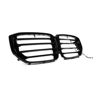 Nerki (grille) X5M F95 Design LED (2023+) BMW X5 G05 2019–2026 zdjęcia 3