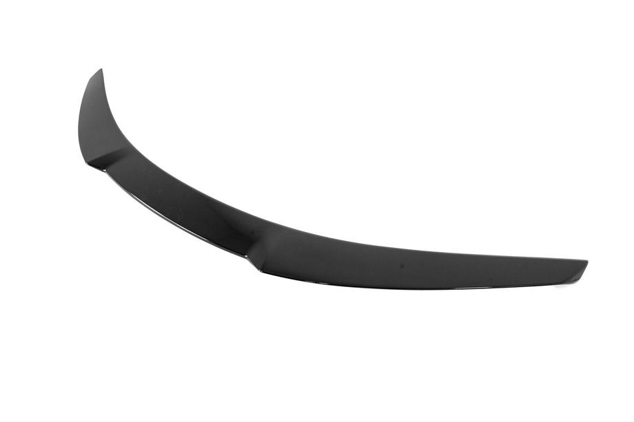 Tesla Model S 2012– Spoiler Fast (do 2021+) Zdjęcia 5