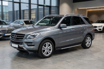 Mercedes GLE/ML class W166 2011-2018 Progi Boczné Maya V1 (2 szt., Aluminium) zdjęcia 1