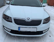 Skoda Octavia III A7 2013-2019 Zimowa osłona na grill (2013-2017) Matowy zdjęcia 2