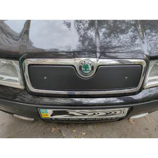 Kratka zimowa (górna) Skoda Octavia I Tour A4 1996-2010 zdjęcia 2