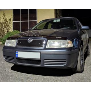 Kratka zimowa (górna) Skoda Octavia I Tour A4 1996-2010 zdjęcia 3