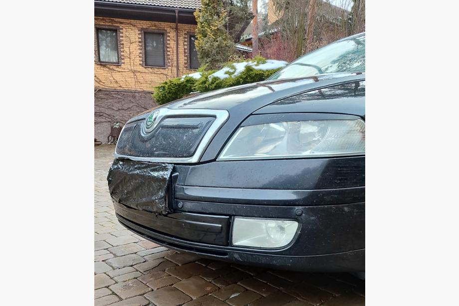 Skoda Octavia II A5 2006-2010 Zimowa osłona na kratkę (dolna) Błyszczący Zdjęcia 2