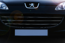 Peugeot 407 2004-2011 Nakładki na Grill Chromowane (3 szt, Stal Nierdzewna) OmsaLine - Włoska Stal Nierdzewna zdjęcia 1
