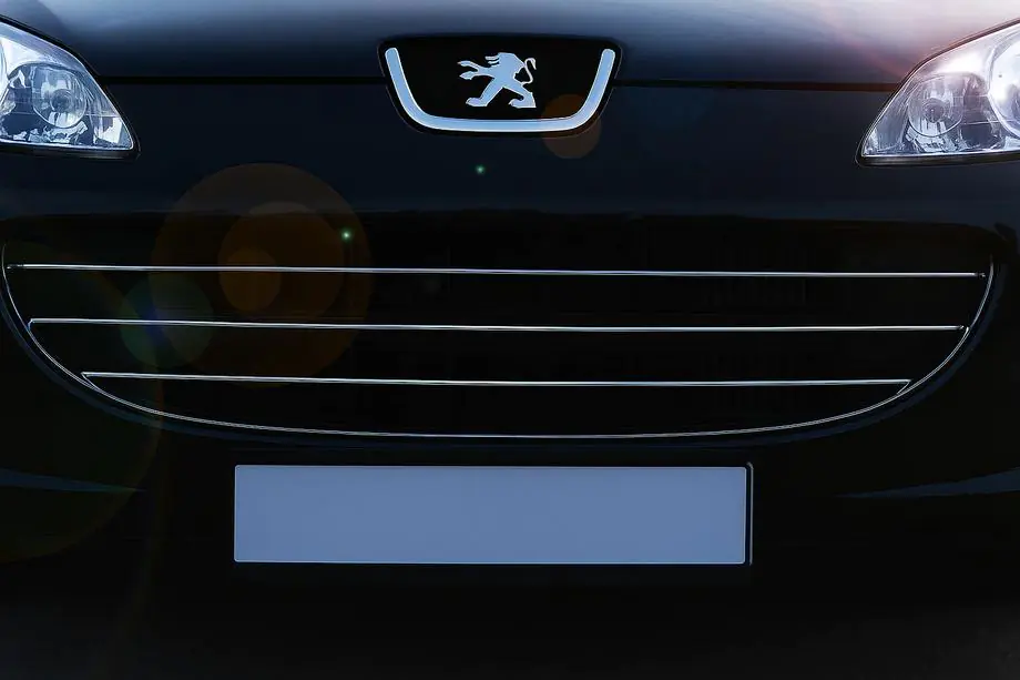 Peugeot 407 2004-2011 Nakładki na Grill Chromowane (3 szt, Stal Nierdzewna) Image