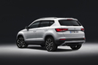 Pierwszy przegląd zwrotnicy Seat Ateca zdjęcia 5