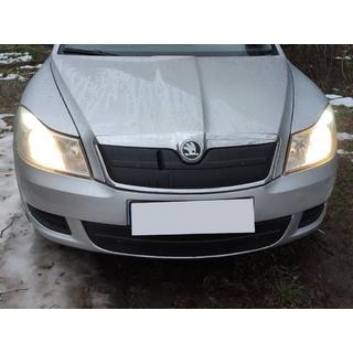 Zimowa osłona na kratkę (dolna) Skoda Octavia II A5 2010-2013 zdjęcia 2