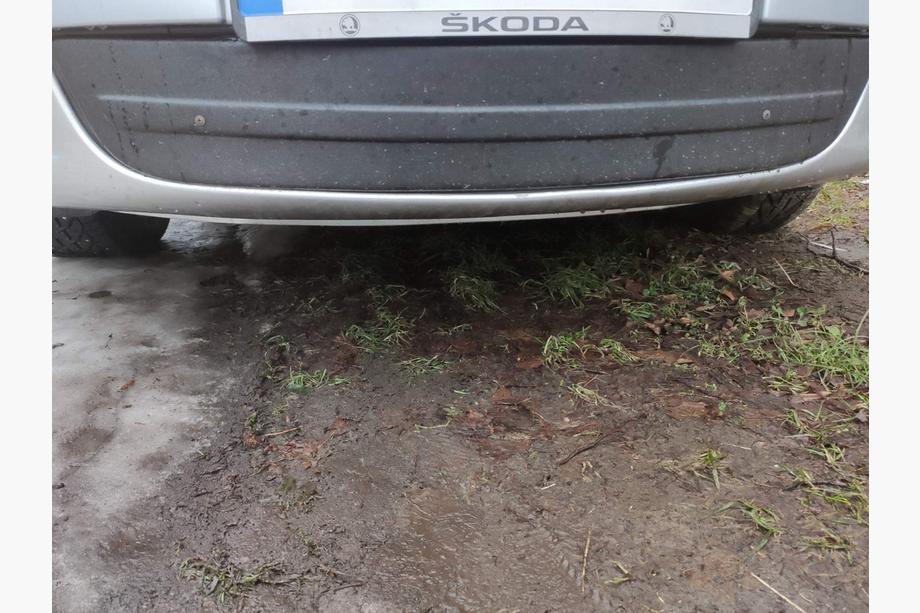 Skoda Octavia II A5 2010-2013 Zimowa osłona na kratkę (dolna) Błyszczący Image