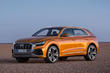 Przegląd nowego nagrody zwrotnicy Audi Q8 zdjęcia 1