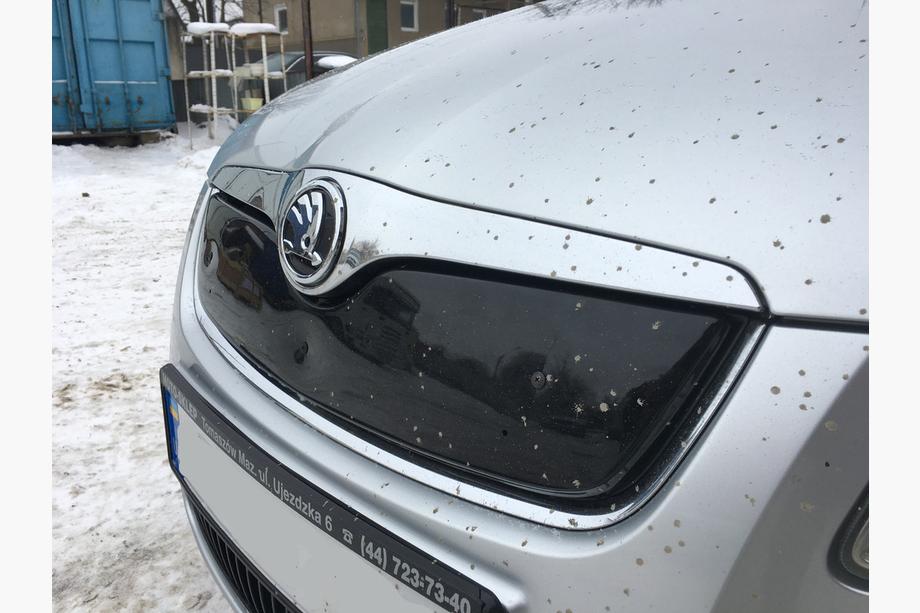 Skoda Fabia 2007-2014 Zimowa osłona na grill (2007-2010, górna) Matowy Zdjęcia 3