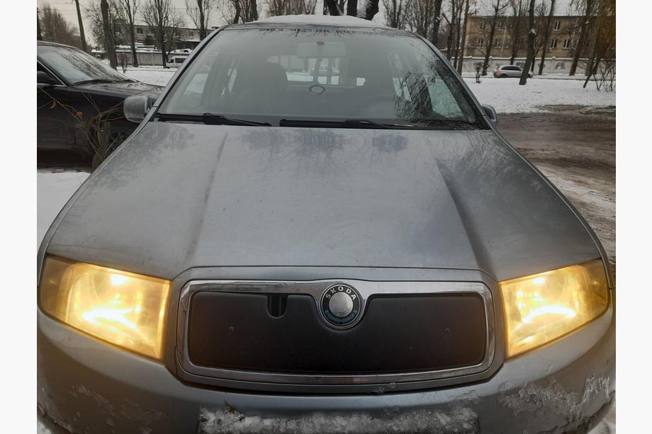 Skoda Fabia 2000-2007 Zimowa osłona na grill Image
