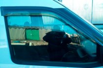 Fiat Doblo II 2010-2022 Deflektory Okien (2 szt, HIC) zdjęcia 9