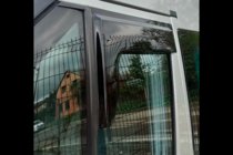 Ford Transit 2000–2014 Deflektory Okien (2 szt, HIC) zdjęcia 10