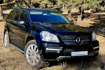 Mercedes GL class X164 2006-2012 Grill przedni Diamond (2006-2009) zdjęcia 4