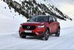 Przegląd zwrotnicy Volvo XC40 zdjęcia 10