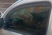 Mercedes Citan 2013-2021 Deflektory szyb wsuwane (2 szt, HIC) zdjęcia 9
