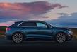 Przegląd napędu na wszystkie koła premii zwrotnicy Audi Q8 zdjęcia 10