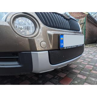 Zimowa osłona grilla (dolna, 2009-2013) zdjęcia 3