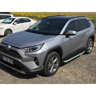Progi Boczné Fullmond (2 szt., Aluminium) zdjęcia 2