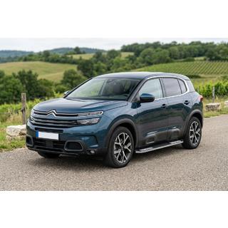 Progi Boczné Tayga V2 (2 szt, Aluminium) zdjęcia 1